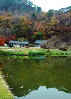 산위의 바위그림자가 부처님의 형상으로 비쳤다는 유래를 갖고있는 불영사의 연못.