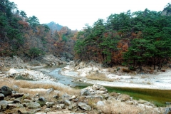 불영사 입구의 불영계곡. 명승 제6호로 지정된 깊고 아름다운 계곡이다.4