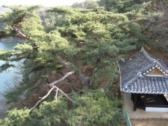 무우정 이미지