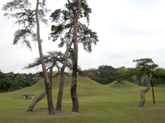 사적 제172호로 봉분 높이가 10m, 지름은 20m인 신라오릉. 사로국의 시조 박혁거세와 알영부인, 제2대 남해왕, 제3대 유리왕, 제5대 파사왕의 분묘라 전해진다.