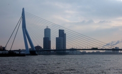 에라스무스 다리(Erasmus Bridge). 1996년 12월에 개통한 이 다리는 길이 800m, 높이 139m, 폭 30.8m 규모로 명실상부한 로테르담의 랜드마크다. UN Studio(Van Berkel & Bos) 설계. 1996.3