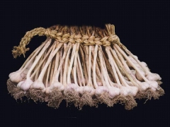 ���� �ְ�ǰ���� �ڶ��ϴ� �Ǽ������� ������ǰ�� �渶��, ������, ���ǰ �� �پ��� ���·� Ȱ��ǰ� �ִ�.