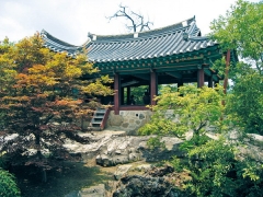 충재 권벌이 기묘사화에 연루돼 파면, 낙향해 머물던 1526년에 건립한 청암정(靑巖亭). 종가 서쪽의 거북바위 위에 건립한 정자로, 주위는 연못과 고목으로 둘러져 사철 아름답다. 미수 허목의 마지막(88세)붓글씨인 '靑巖水石' 전서 현판(작은 사진)이 유명하다.2