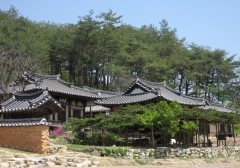 이정글씨 이미지