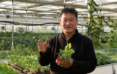 법인해오름 이미지