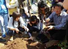 도시인력 이미지
