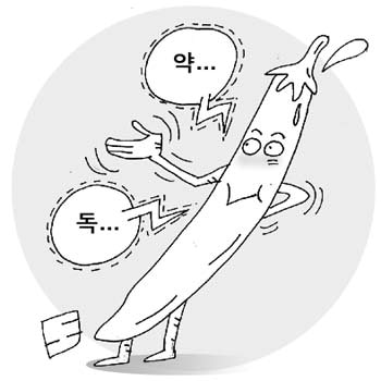 [한의학의 세계] 藥과 毒, 동전의 양면