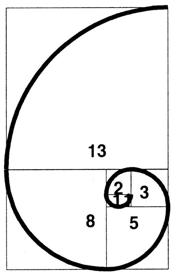[재미있는 수학이야기] 자연의 신비