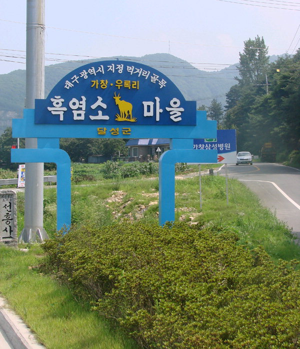 [이춘호기자의 푸드 블로그] 흑염소 요리 이야기