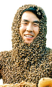 [벌수염 안상규의 꿀벌의 세계] 꿀에 대한 놀랄만한 역사와 생태