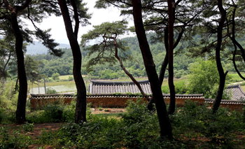 20110615