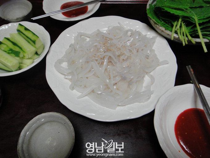 잡은 무늬오징어 직접 회 떠 볼까