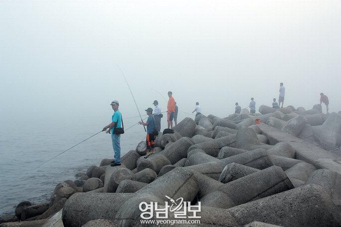 [김동욱의 낚시시대] ‘지존’ 무늬오징어가 올라온다…