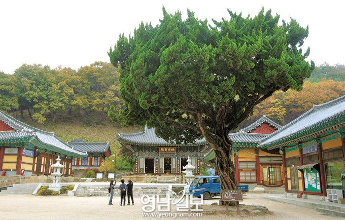 [팔공산 자락 걷기 좋은길 .15]  ‘은해사 매표소~상용암 터 추정지~운부암~원점’ 코스