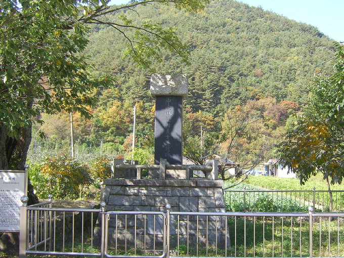 20111123