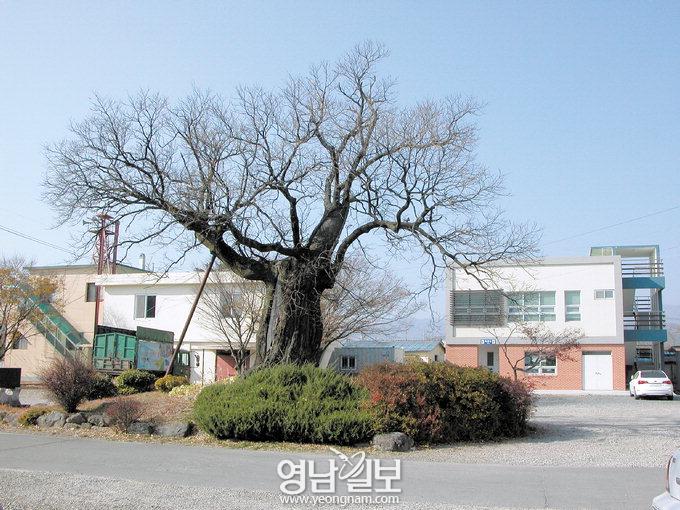 [2011 스토리텔링 淸謙眞景의 비밀 .1] 청하읍성에 서서 해를 맞다
