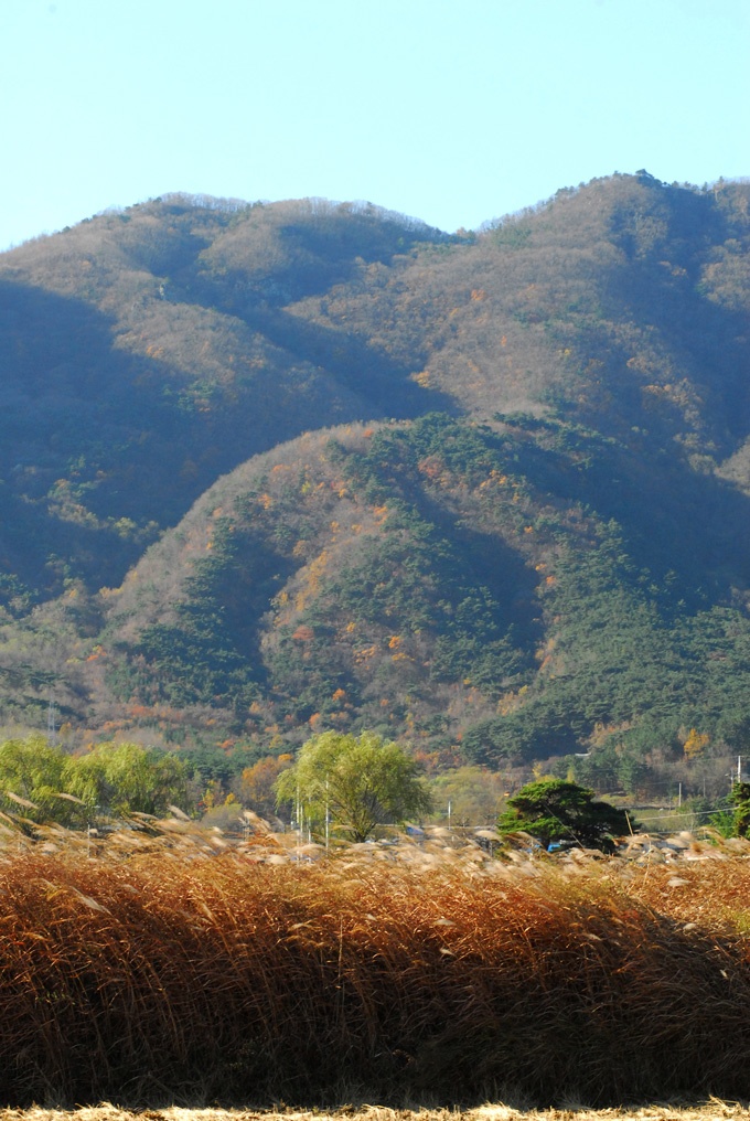 20111202