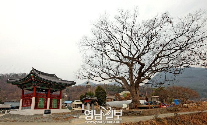 [스토리가 있는 비슬산 둘레길 .6] 예연서원과 곽재우·곽준