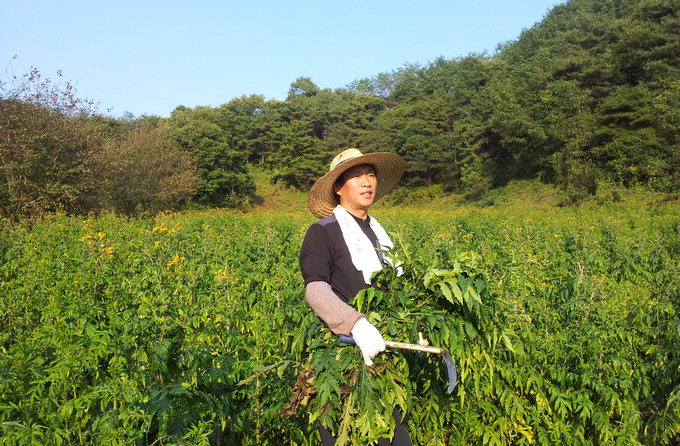 [베이비부머 귀농열전 .38] 봉화 삼칠초 재배 이병규씨
