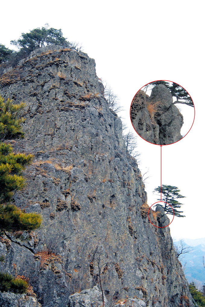 [최원식의 산] 국내 가장 오래된 死火山 금성산 (해발 530m) · 비봉산 (해발 672m)
