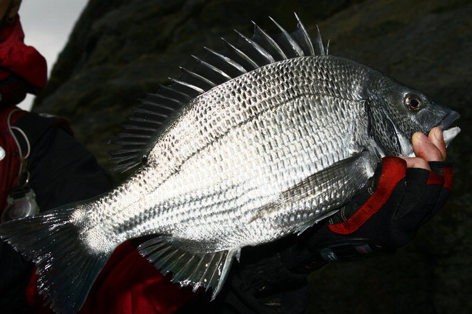 20120323