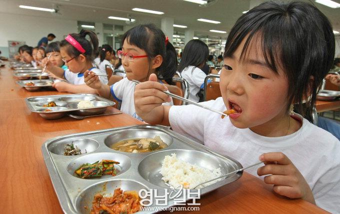 전국 학교 68%가 의무급식…대구는 왜 5.1%에 머무나