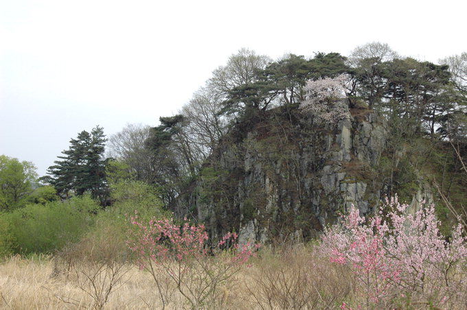 20120504