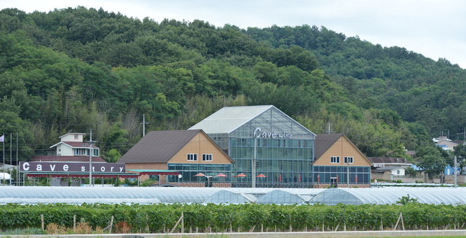 마을·공장·농가·교육형 등 18개 와이너리 “와인 사대주의 타파” 선언