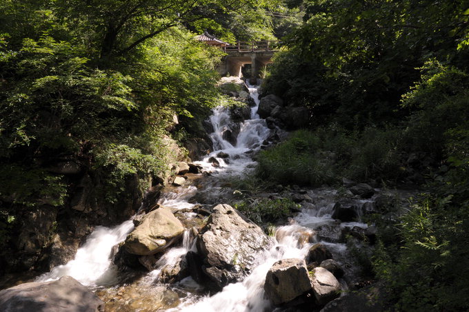 예천 모시골 계곡-원시림의 여름산행 최적지