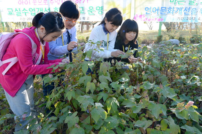 옥상엔 배추가, 교정엔 오곡이 익어가고…캠퍼스도 경작 중