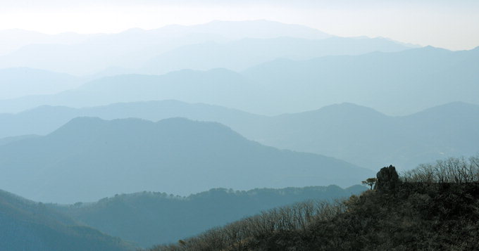 [최원식의 산] 경북 김천-경남 거창 경계 수도산 (해발 1317m)