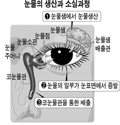 나도 눈물을 흘리고 싶다 | 영남일보 - 사람과 지역의 가치를 생각합니다.