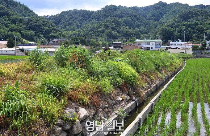 [甘川 百五十里를 가다 .17] 목민관 이채와 지례면 이공제