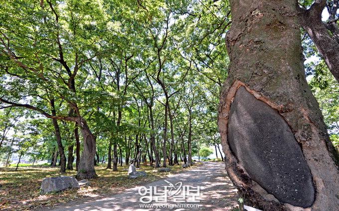 20130819