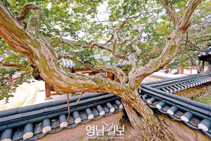 [스토리텔링 2013] 경북, 이야기 보따리를 풀어라  영남 3대 의병장 김면의 충절(고령)