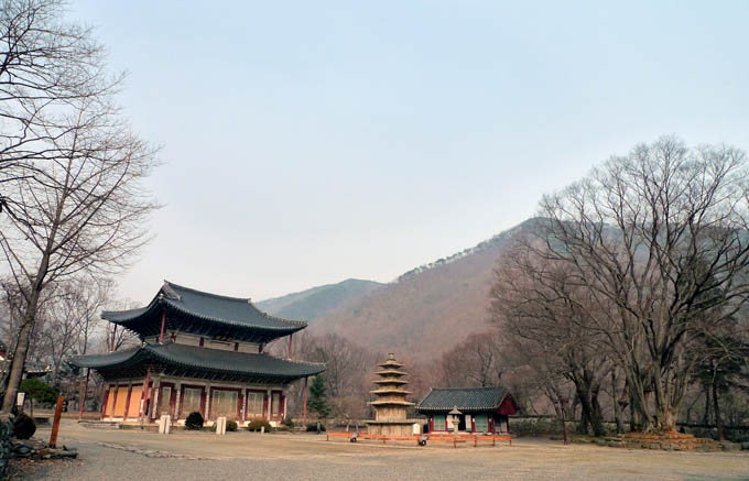 영남일보 - 사람과 지역의 가치를 생각합니다.