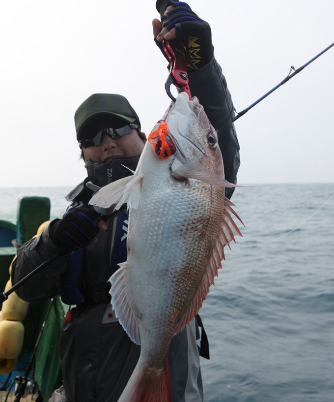[김동욱의 낚시시대] 제주 가파도 해상 ‘라이트 지깅’의 묘미