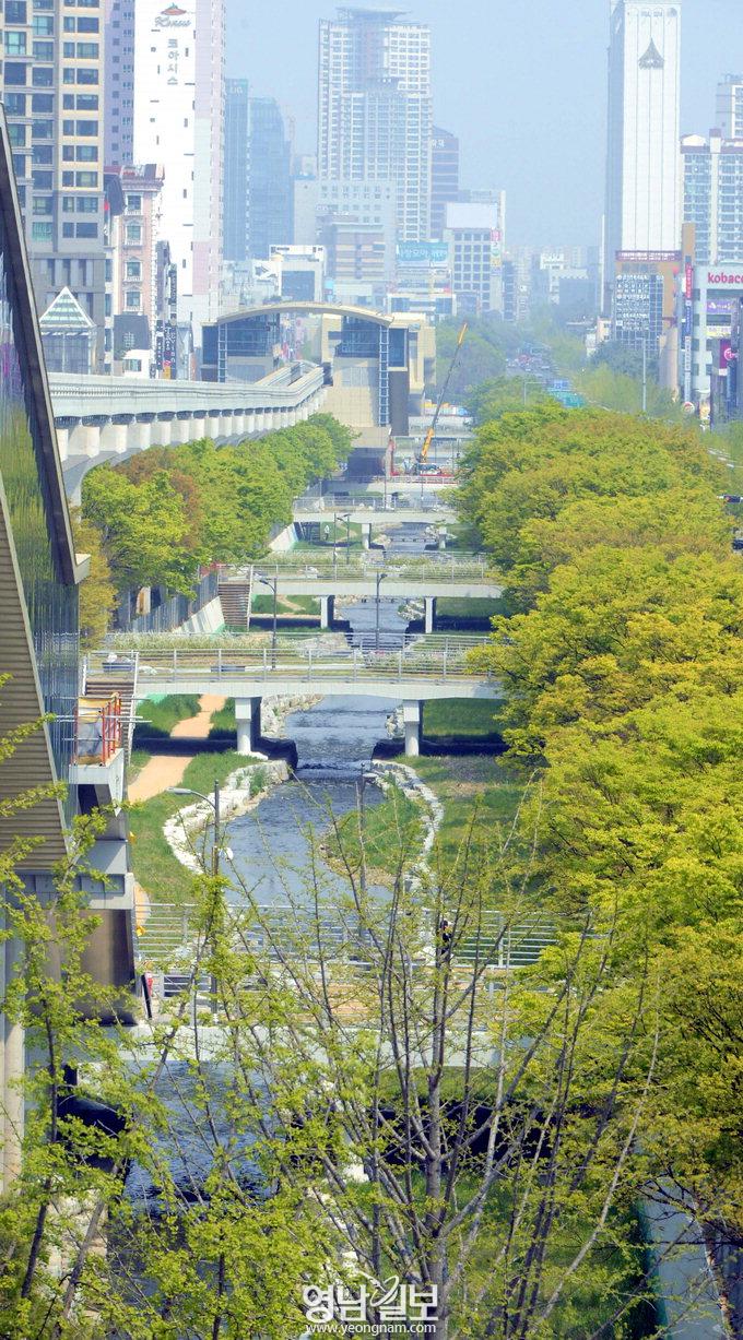 [포토다큐 窓] 대구도시鐵 3호선에서 내려다본 대구…칠곡∼범물 23.95㎞ 탑승기