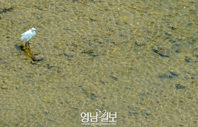 [포토다큐 窓] 대구도시鐵 3호선에서 내려다본 대구…칠곡∼범물 23.95㎞ 탑승기