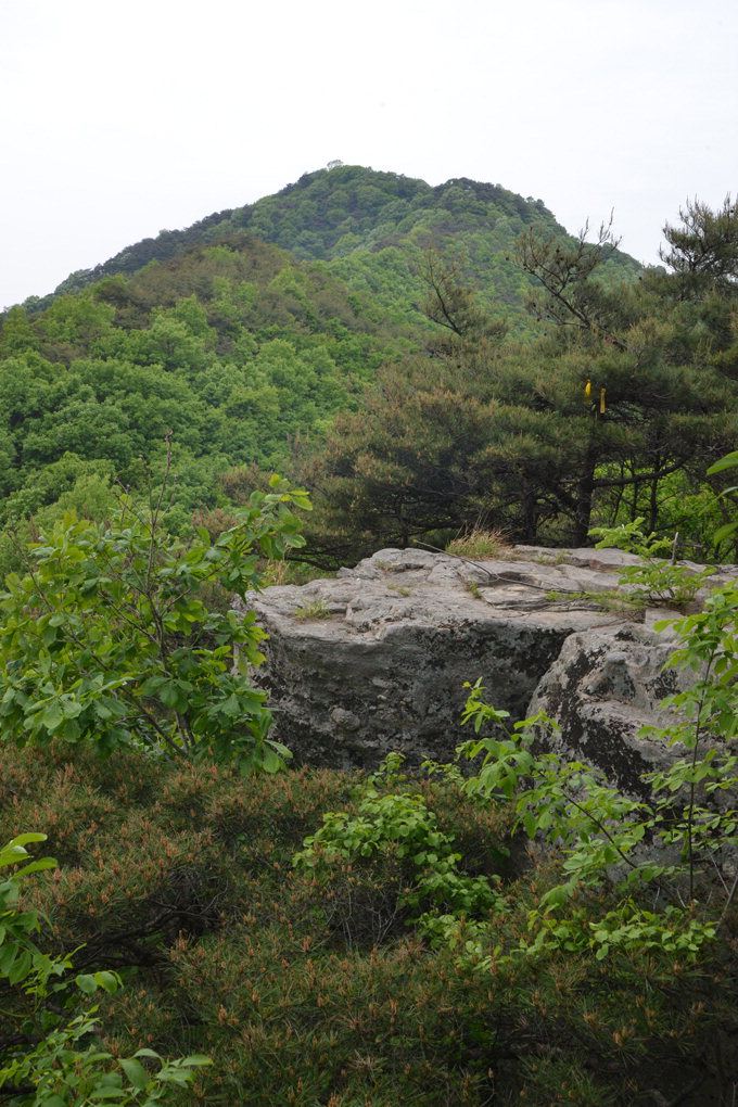 [최원식의 산] 비봉산(飛鳳山) 의성군 다인면·해발 579.3m