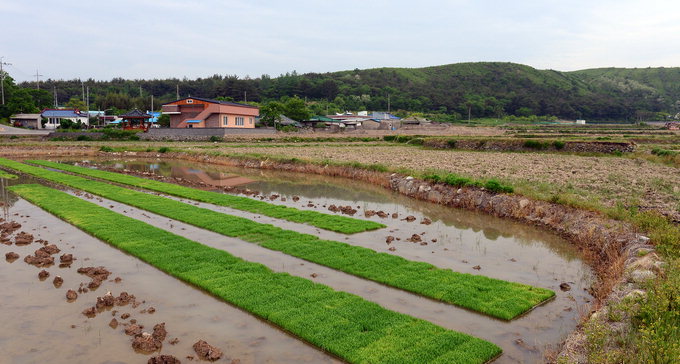 20140520