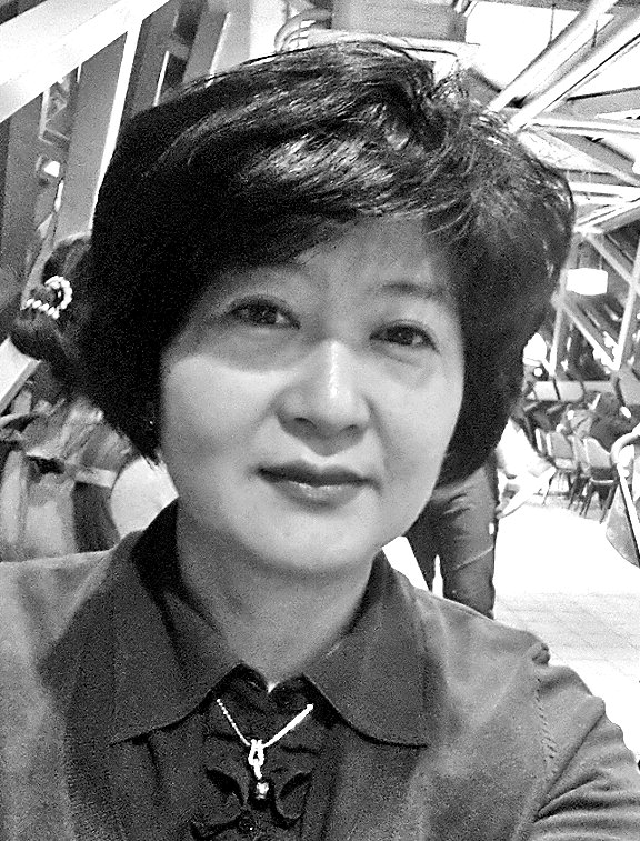 안정인 <문학비평가>