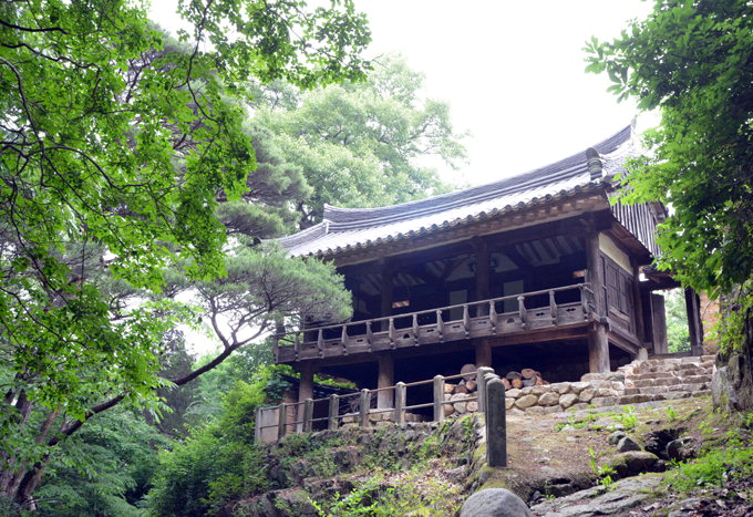 [최원식의 산] 봉좌산(鳳座山) 경주·포항 경계·해발 626m