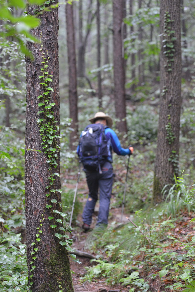 [최원식의 산] 남산(南山) 경북 청도·해발 870m