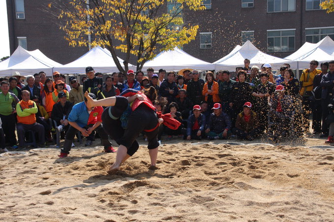 2014 경북소방가족 한마음 체육대회