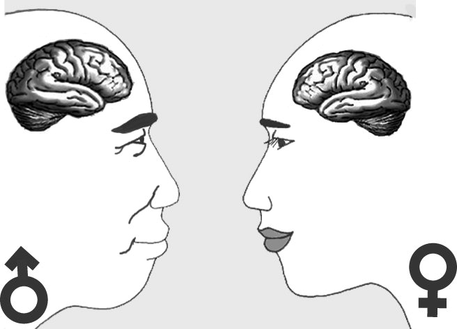 [향기박사 문제일의 뇌 이야기] 남녀 뇌 구조 차이를 알면 가정이 행복