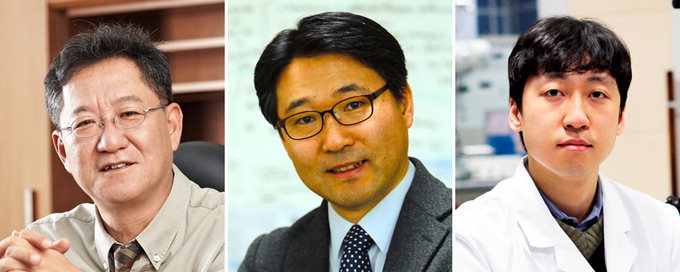 가볍고 高강도·高탄성 새 철강소재 개발 성공…포스텍 김낙준 교수팀