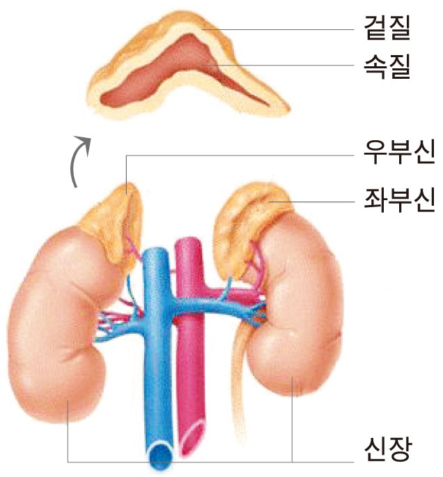 부평식품 이미지