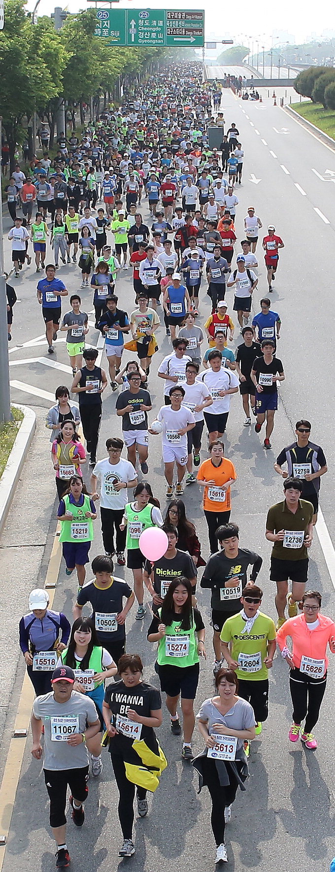 [제8회 영남일보 전국 하프마라톤] 함께 달리고 웃고…즐길 줄 아는 당신이 챔피언