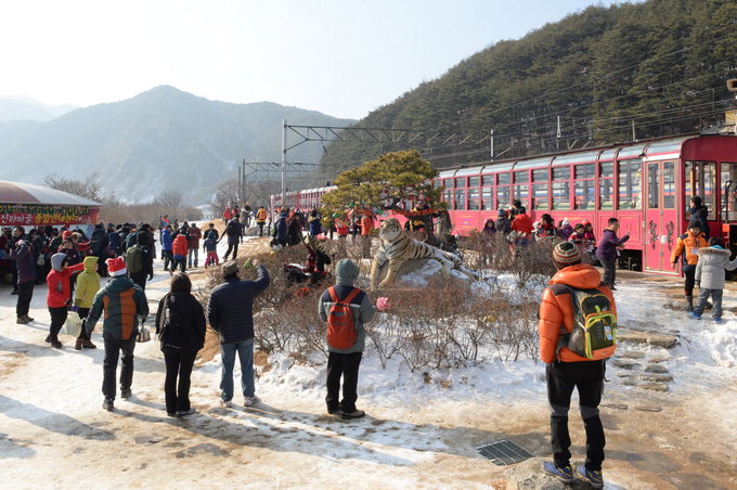 자연과 낭만의 고장 봉화군…사계절 축제 풍성 천혜의 산림휴양 명소